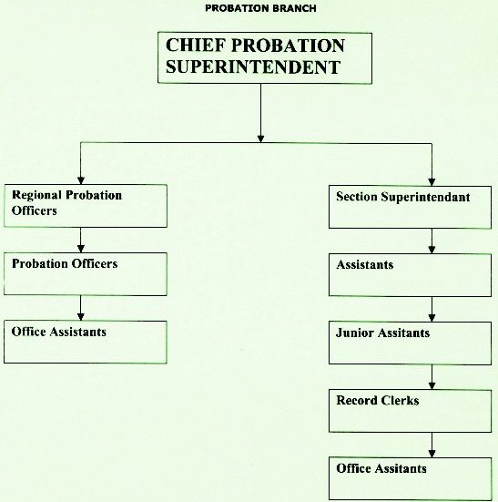 Chief Probation Superintendent